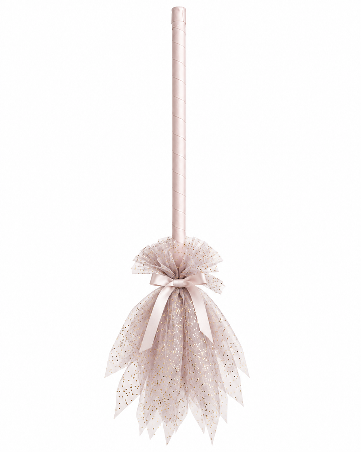Witch broom moonlight watcher | silvery sigh