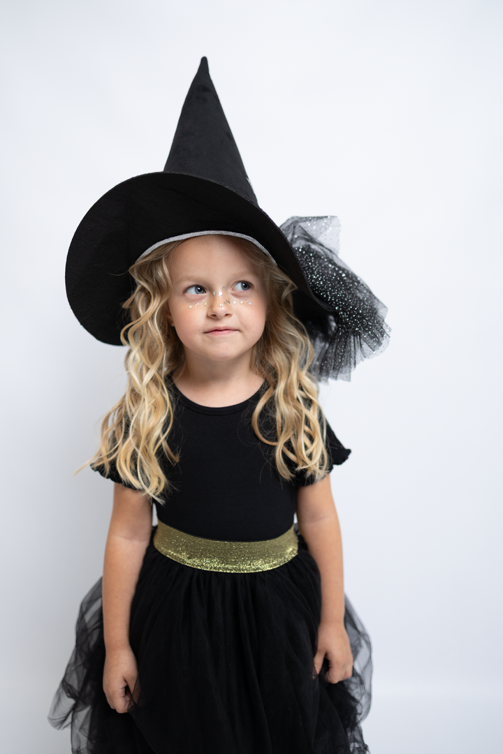 Aurora witch hat | moonshadow