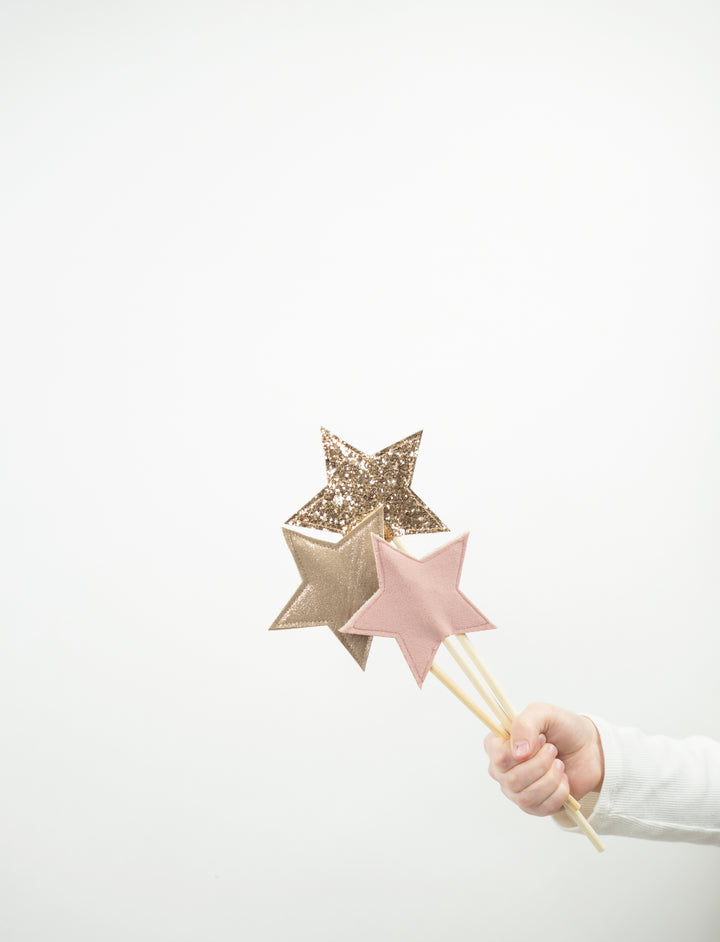 Magic wand party set of 5 | spring walk